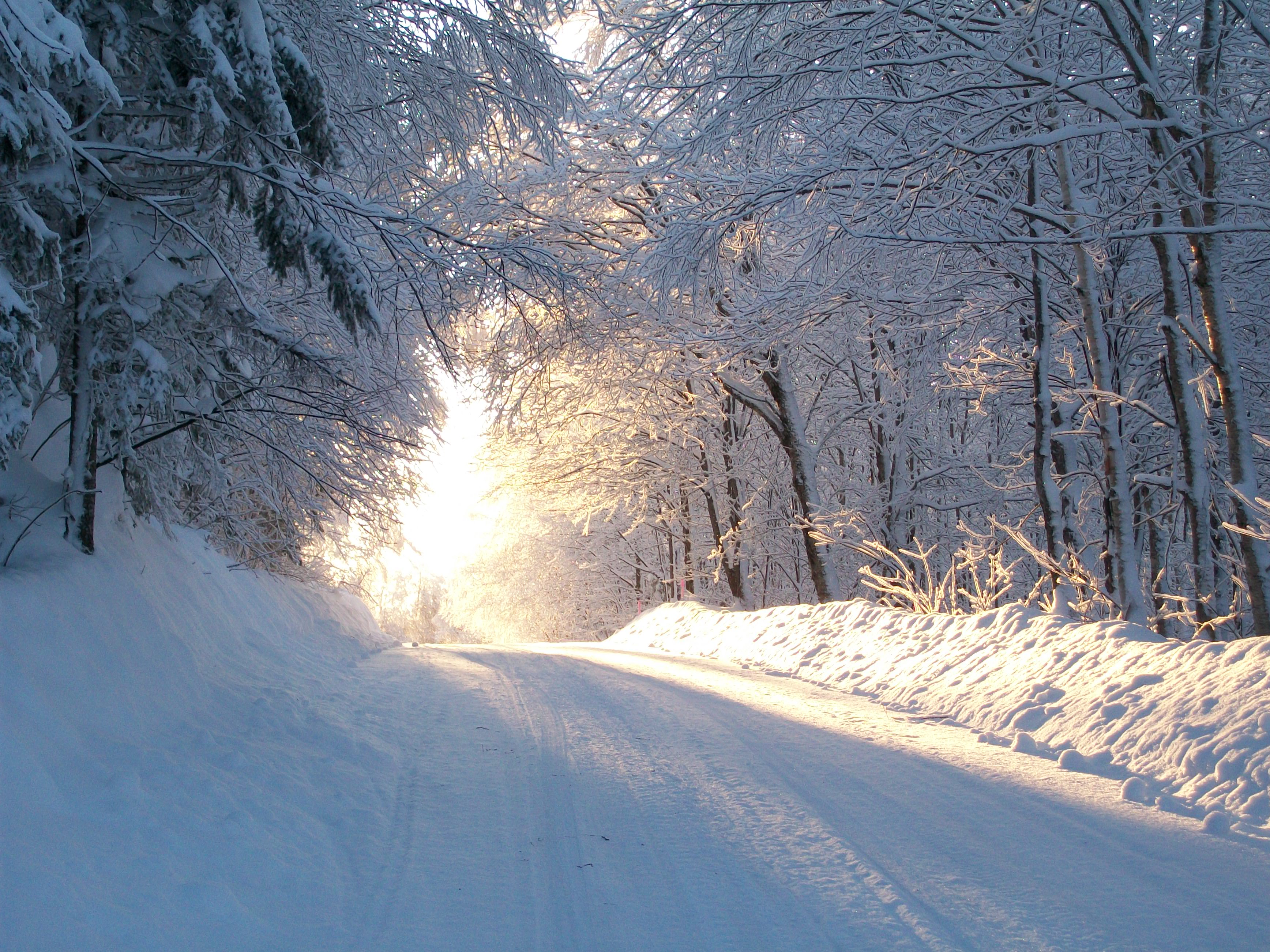 petit chemin de campagne