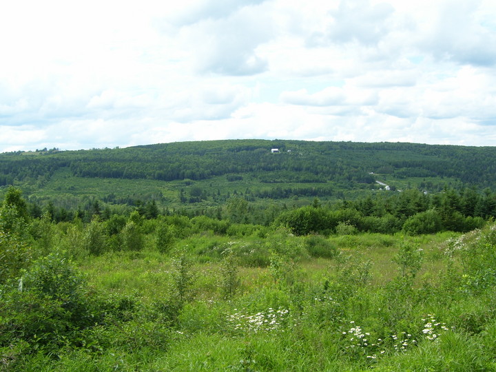 Pas bien loin de chez moi