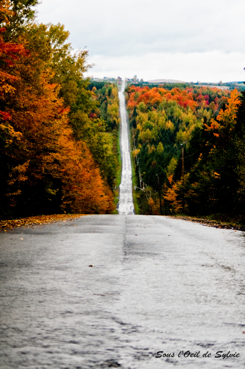 Promis, je ne lâcherai pas ta main