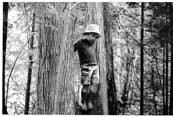 Protégez la forêt, demain elle sera à nous!