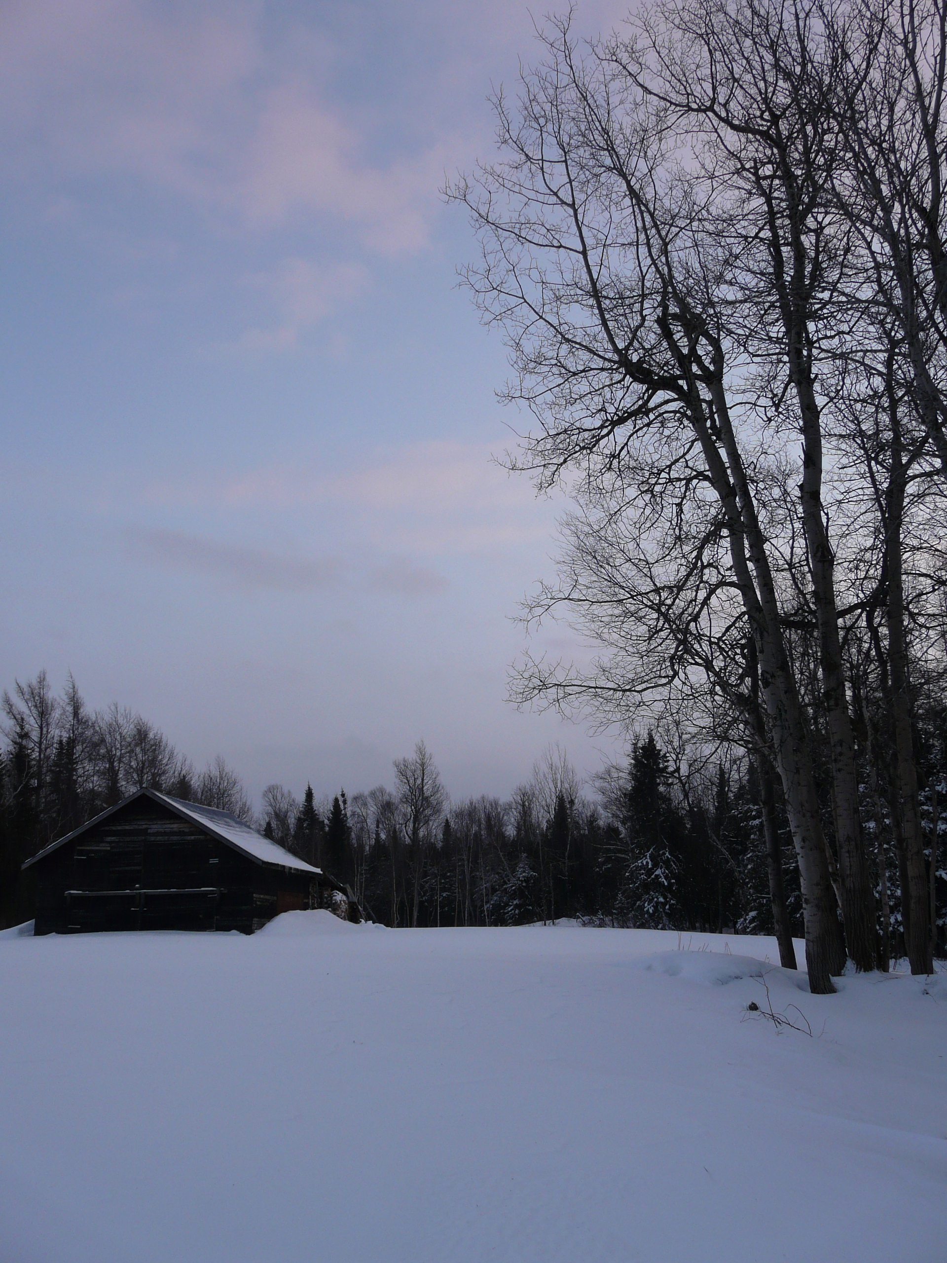 paysage, route 269, vers St-Honoré