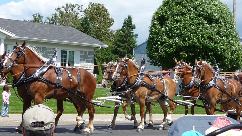 Parade St-Jean 2008
