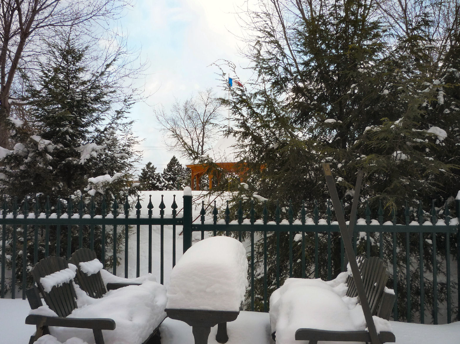 Arboretum endormi 22 janvier 2009