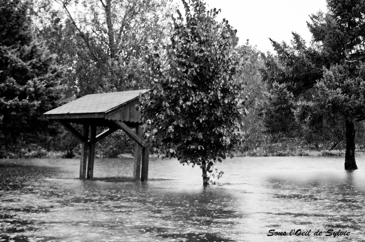 Un p'tit air d'anormalité