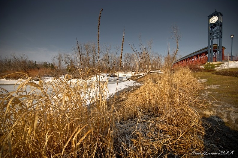 Passerelle 29 mars 2009
