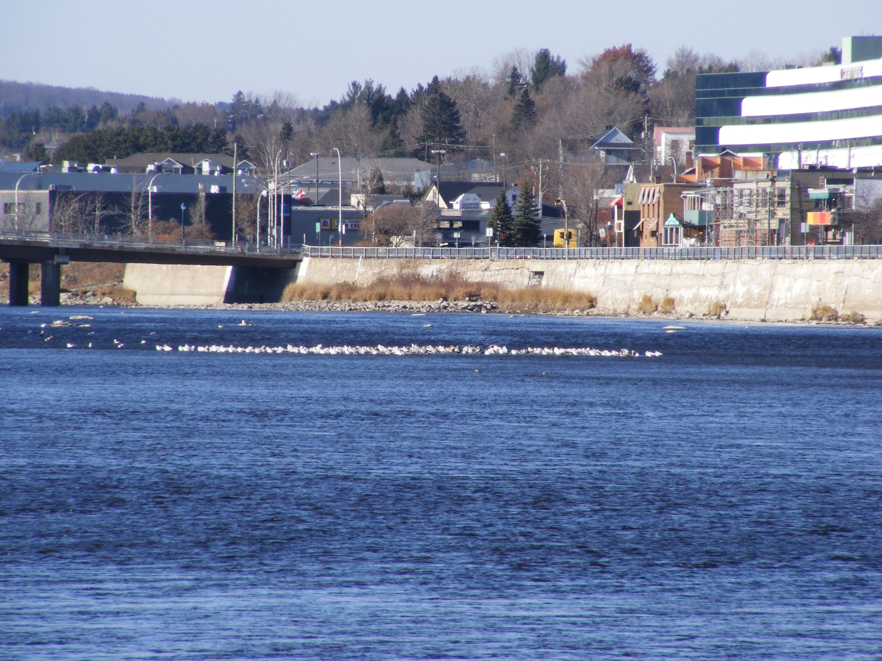 baignade au centre vile