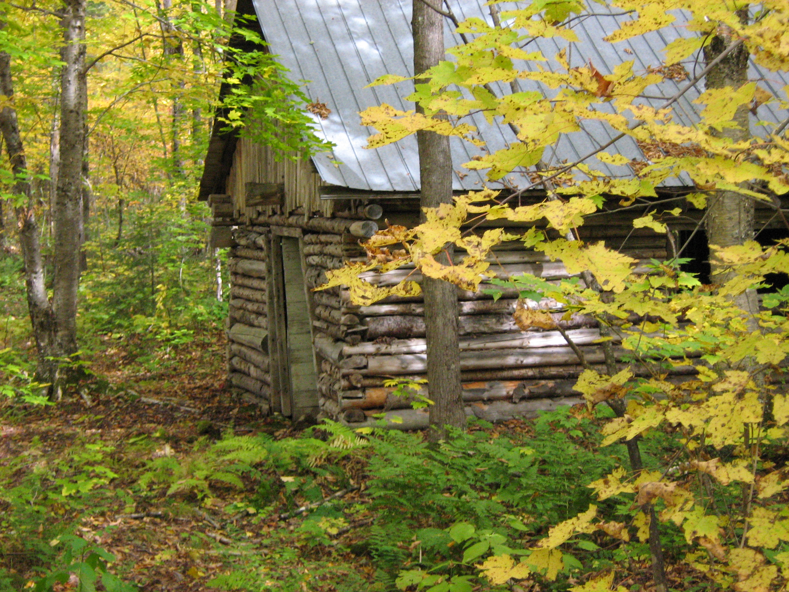 cabane rustique à St-Prosper