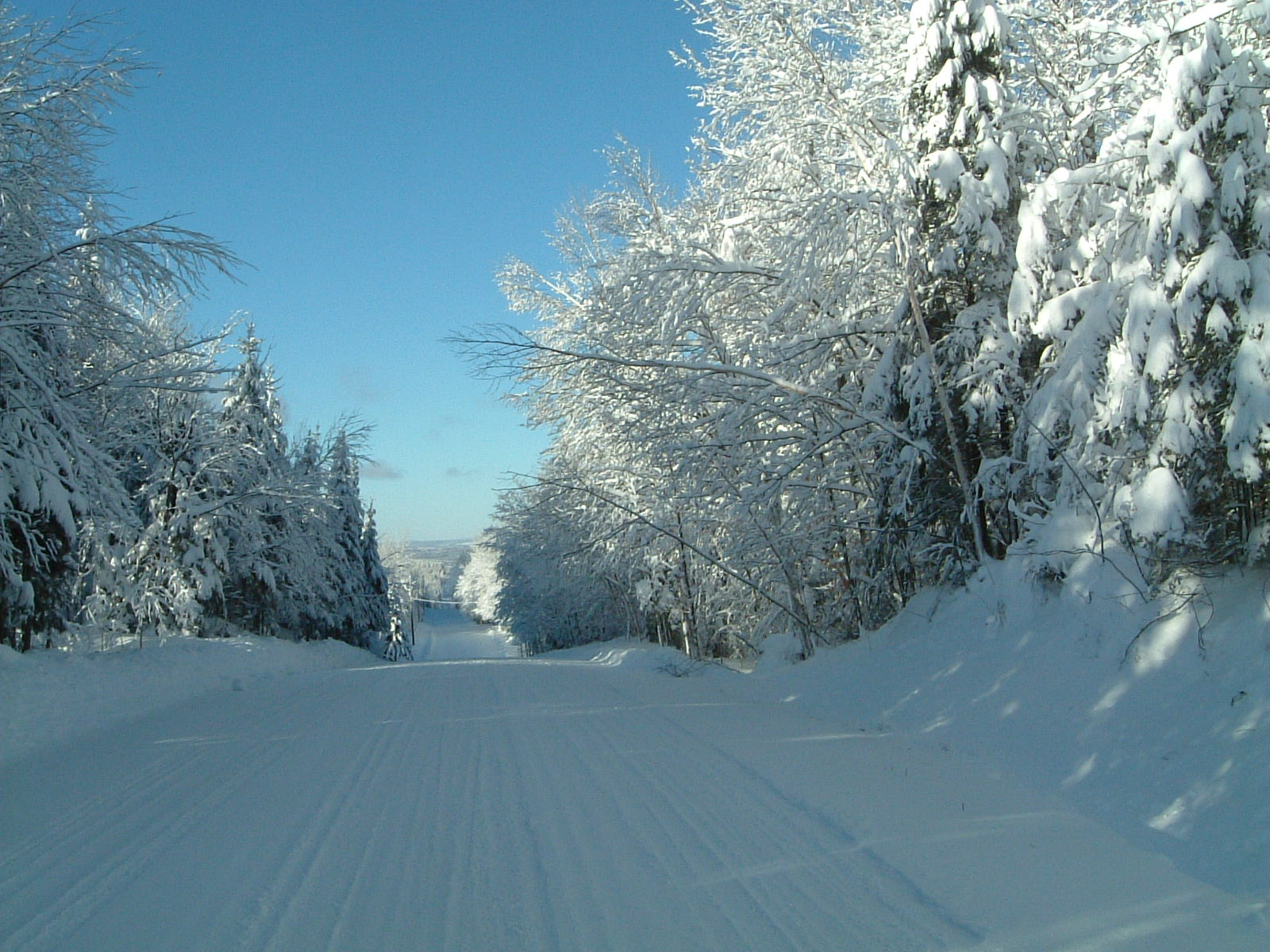 rang de la Beauce avec les couleurs de l'hiver