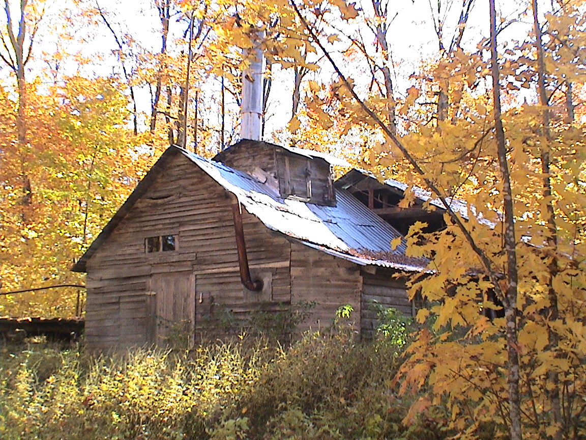 Regard sur les souvenirs