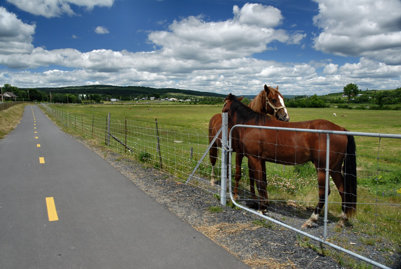 La piste cyclable, direction Notre-Dame des Pins