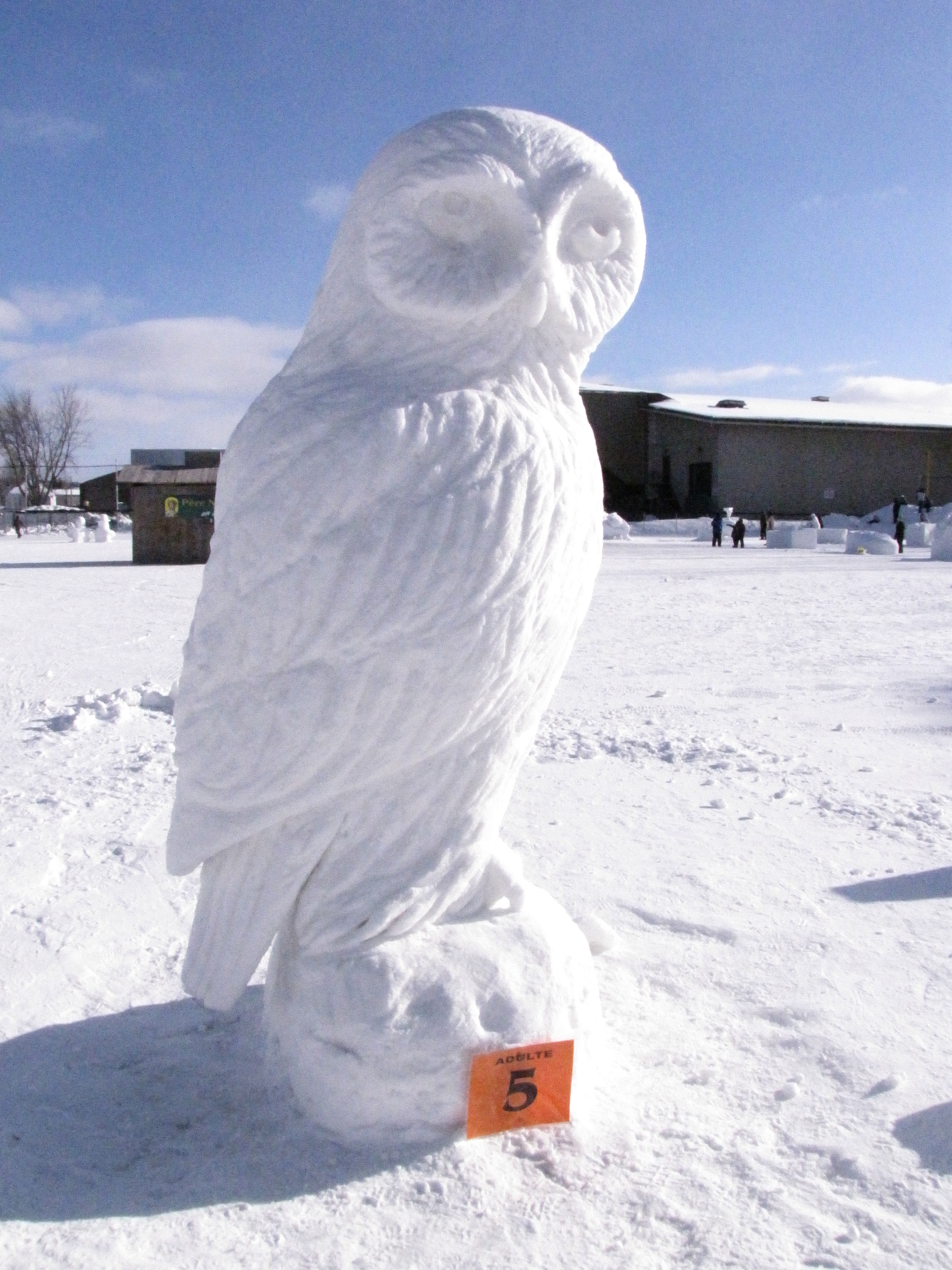 Sculptures sur neige