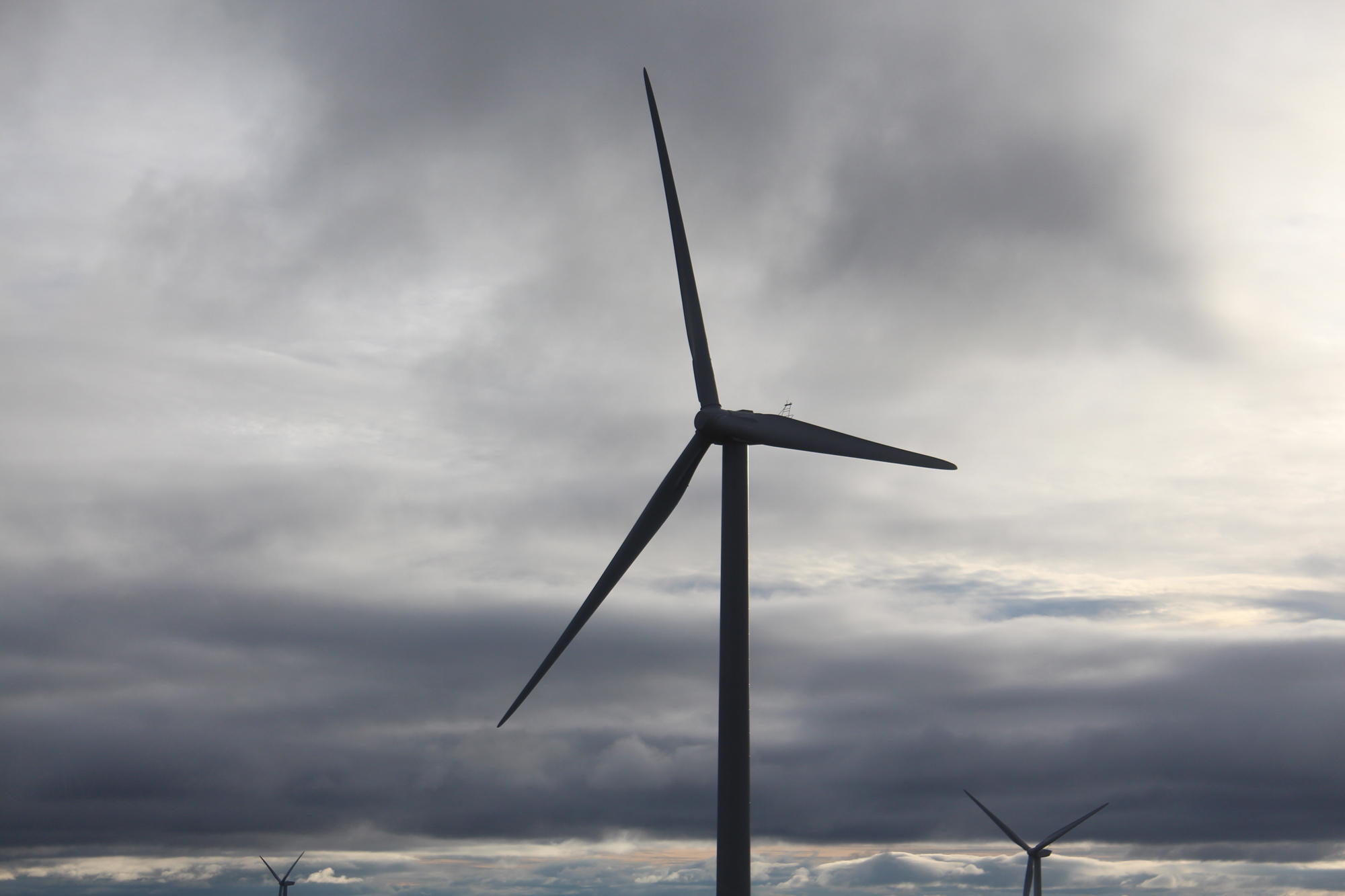 Fiere d'etre beauceronne