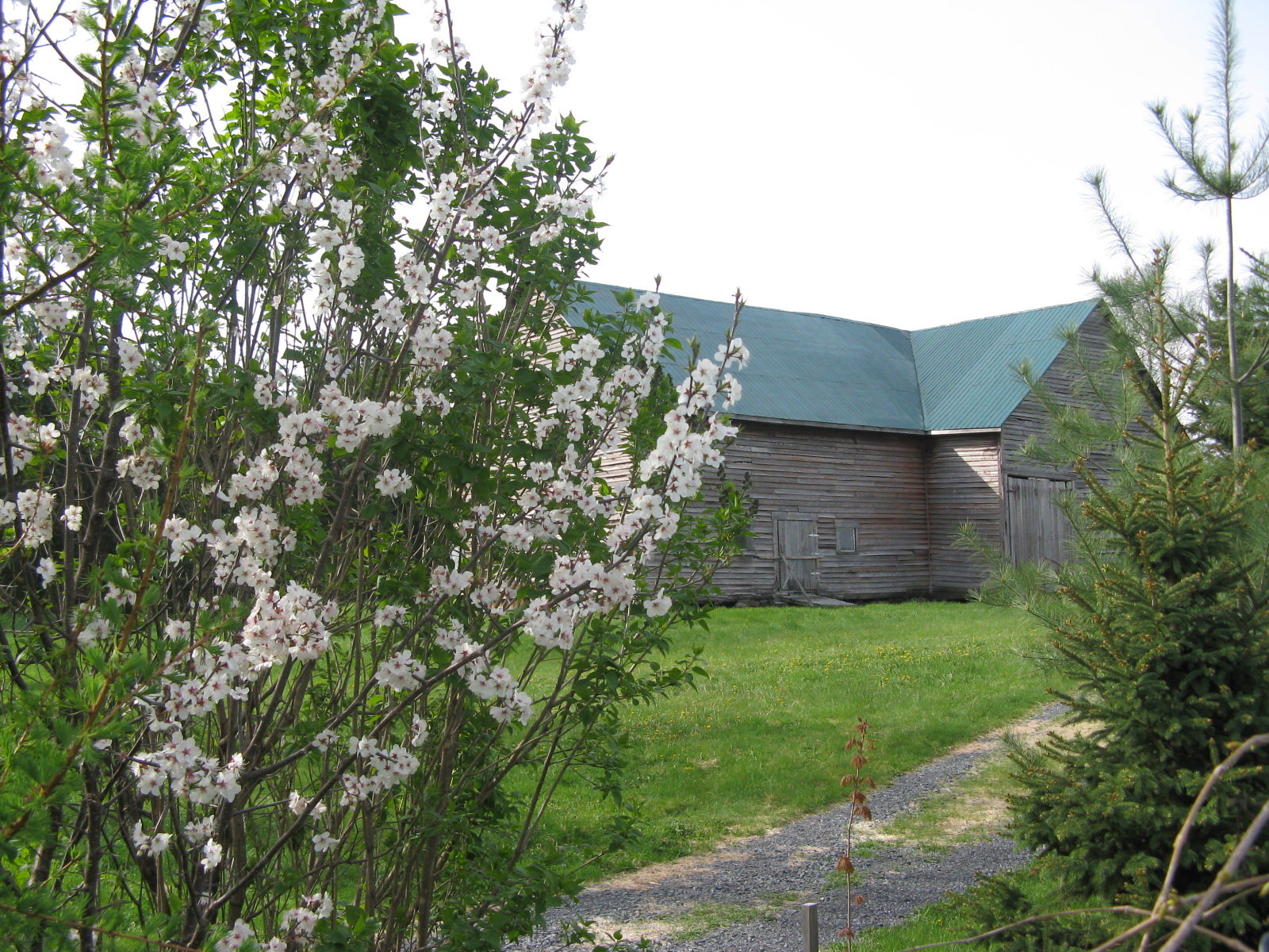 Printemps aux passerelles