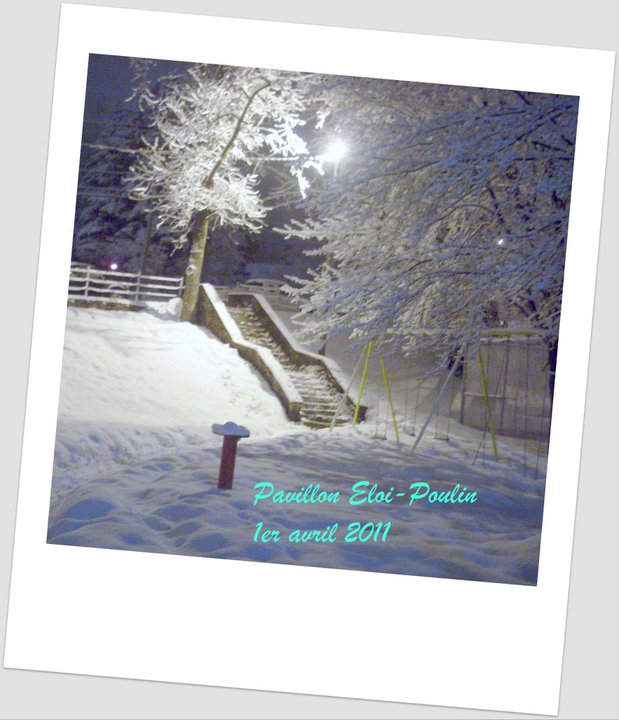 La beauté de l'hiver