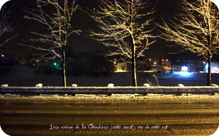 La beauté de l'hiver