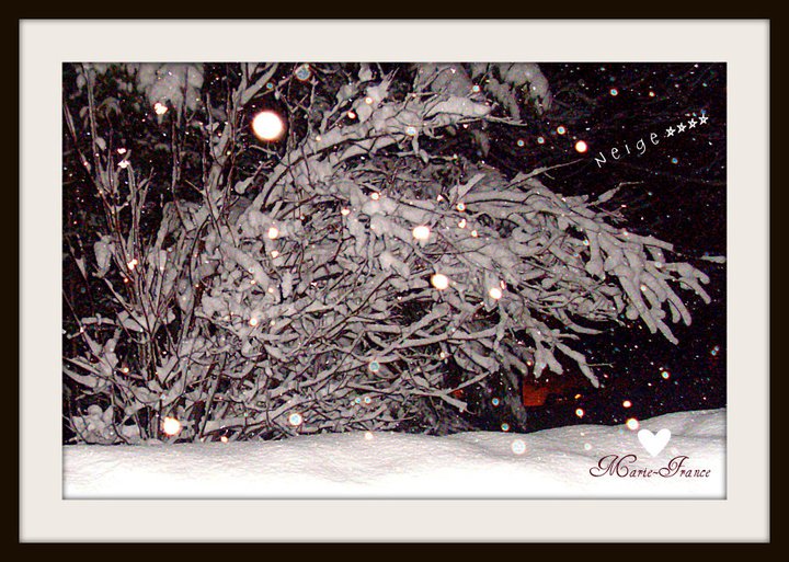 La beauté de l'hiver