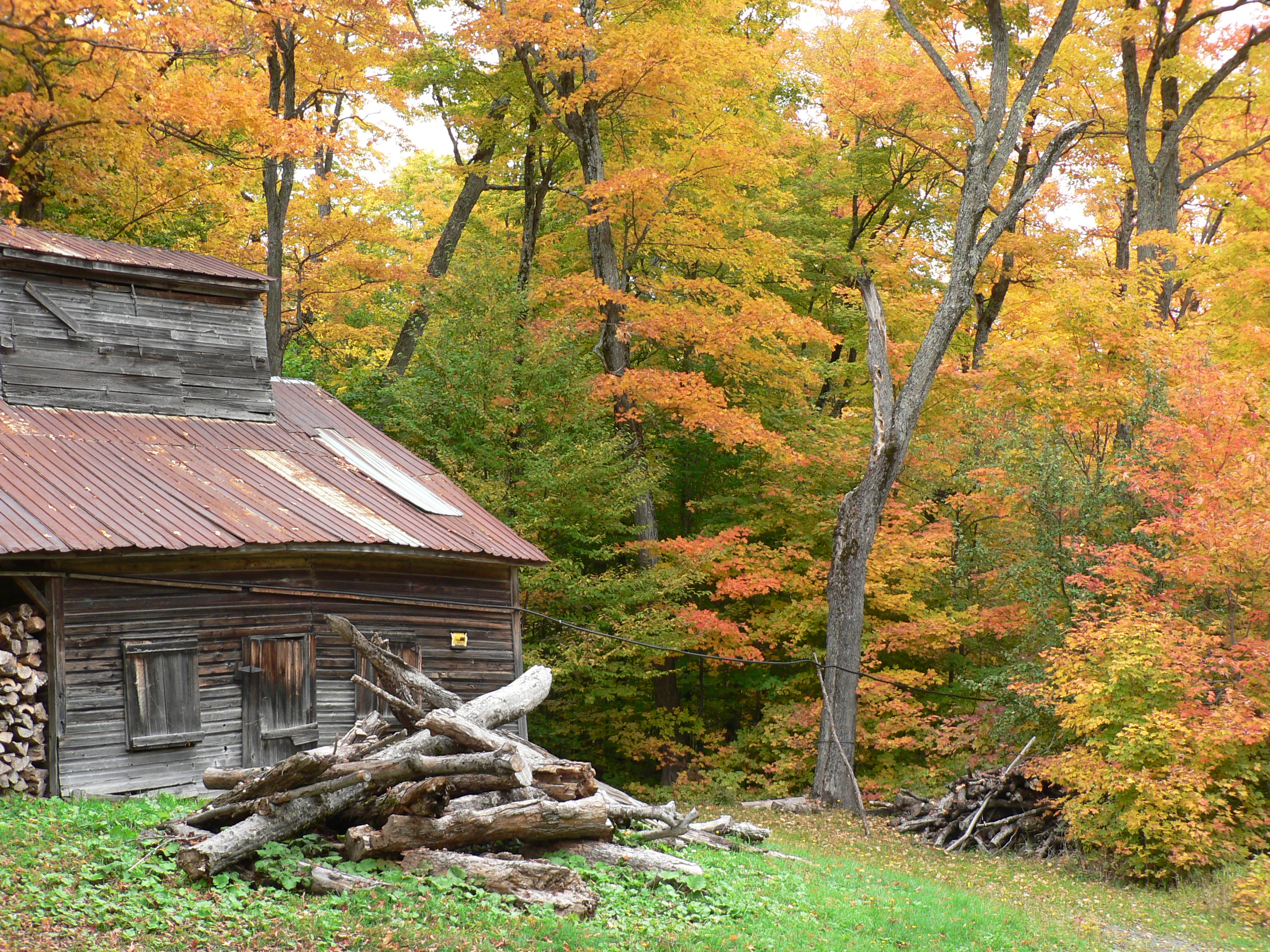 La Beauce = légende d'automne