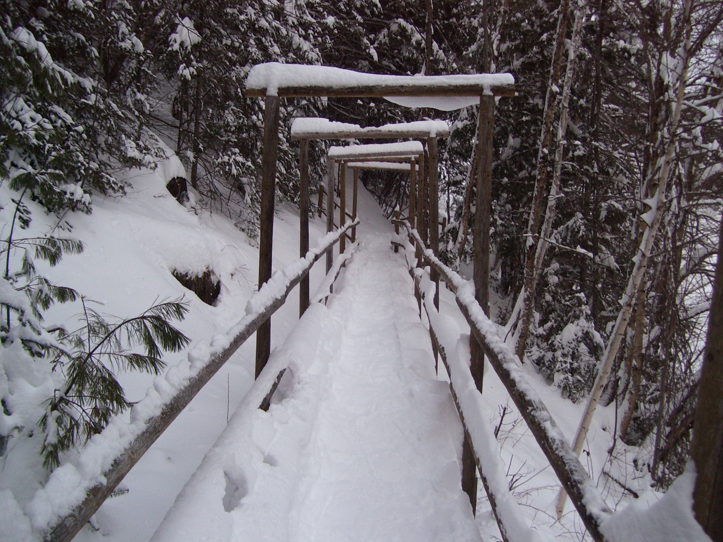 Randonnée en raquettes au 7 chutes