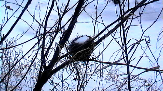 Logement a louer libre dans quelques mois