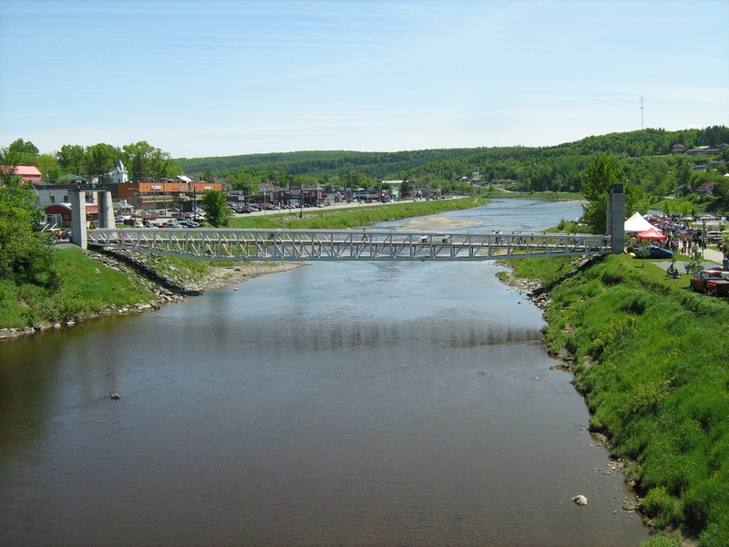 Expo autos Île Ronde
