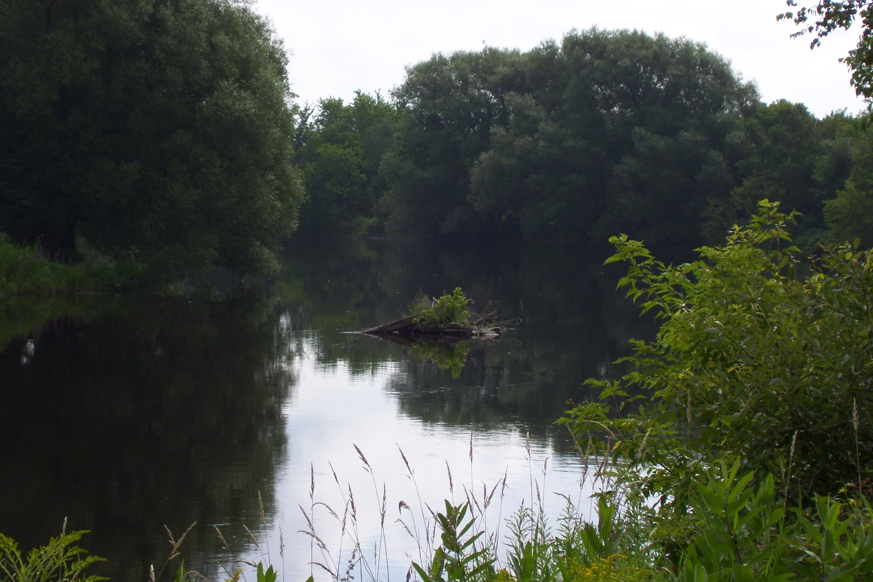 Beauté de la nature