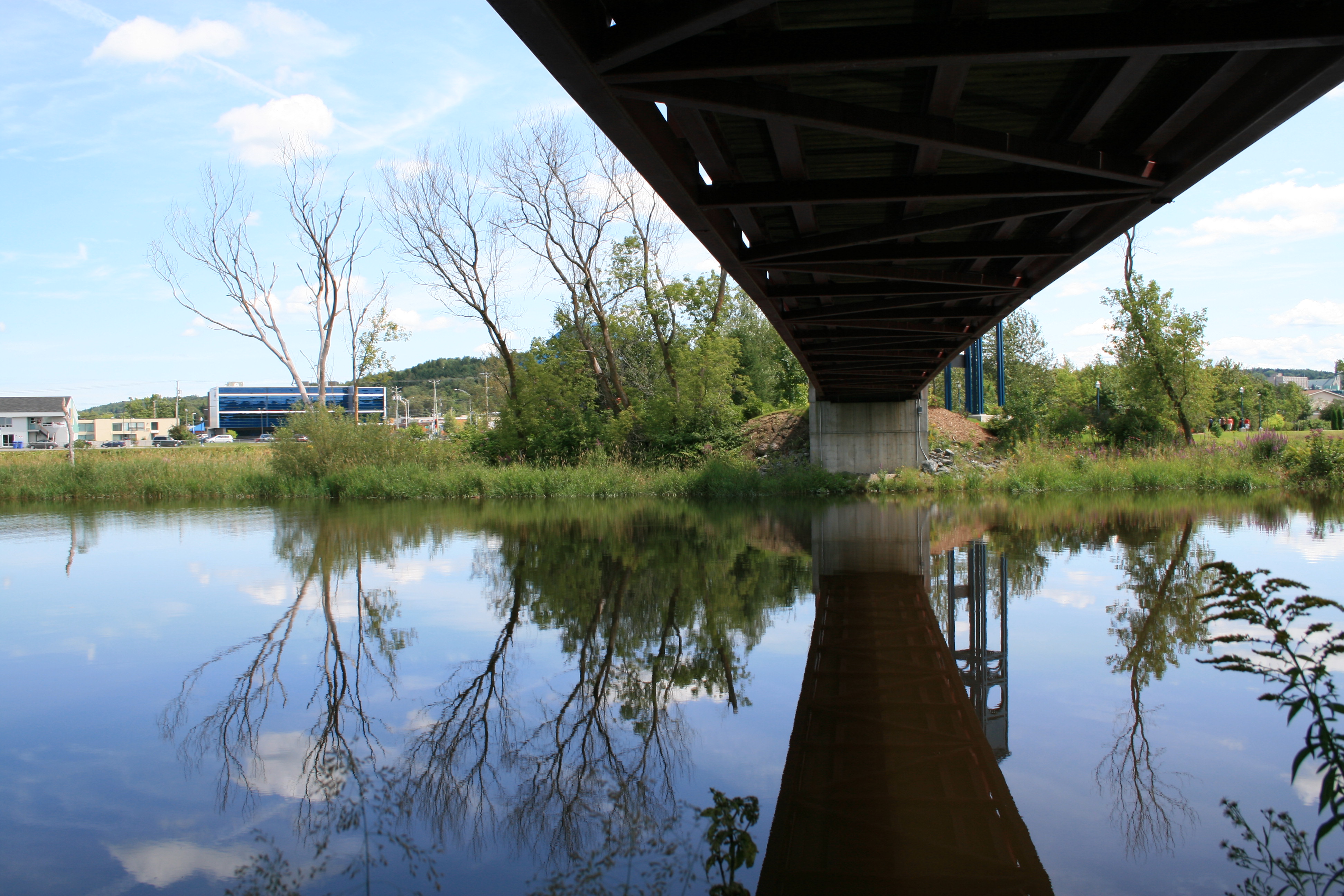 Promenade aux  passerelles