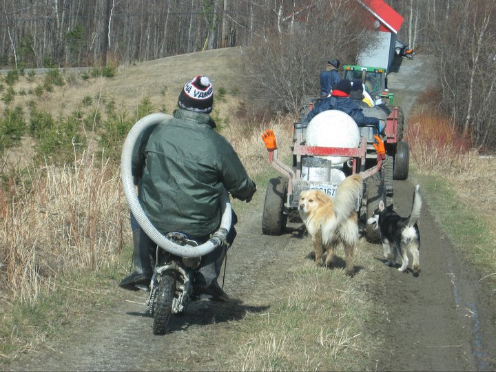 Le retour au bercail