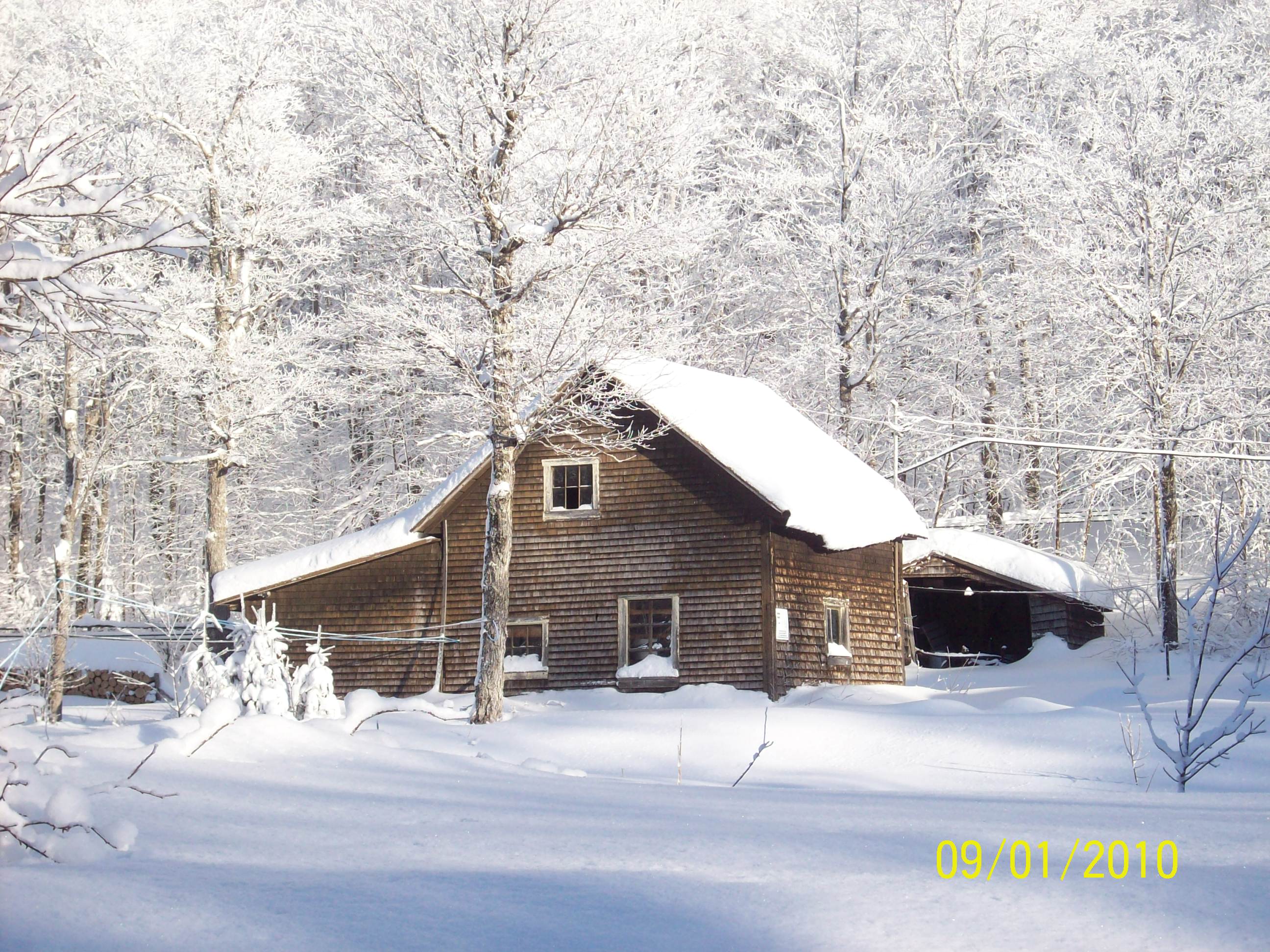 Charme de givre.  janvier 2010
