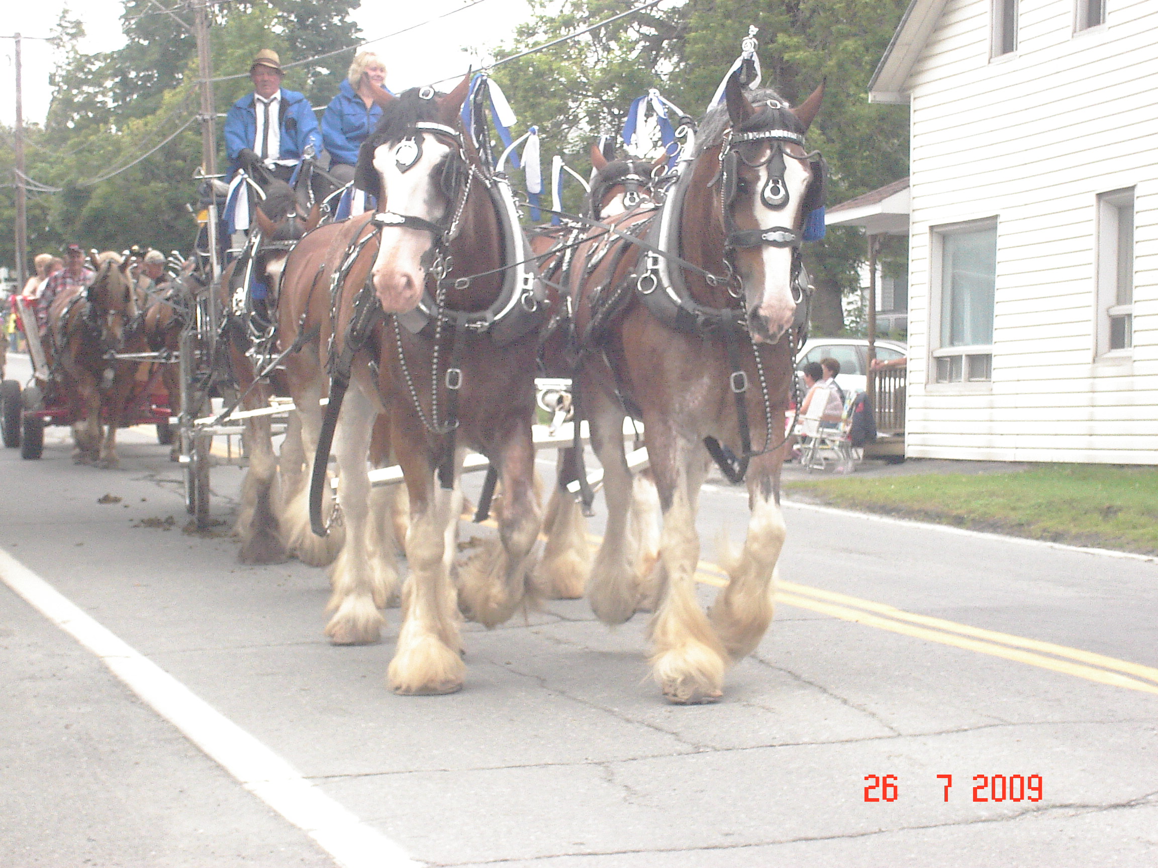 chevaux a st-victor lors de la parade western