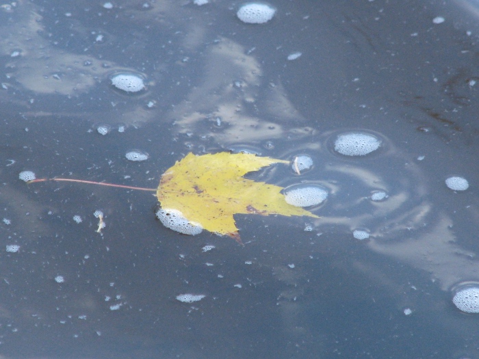 une dernière baignade 