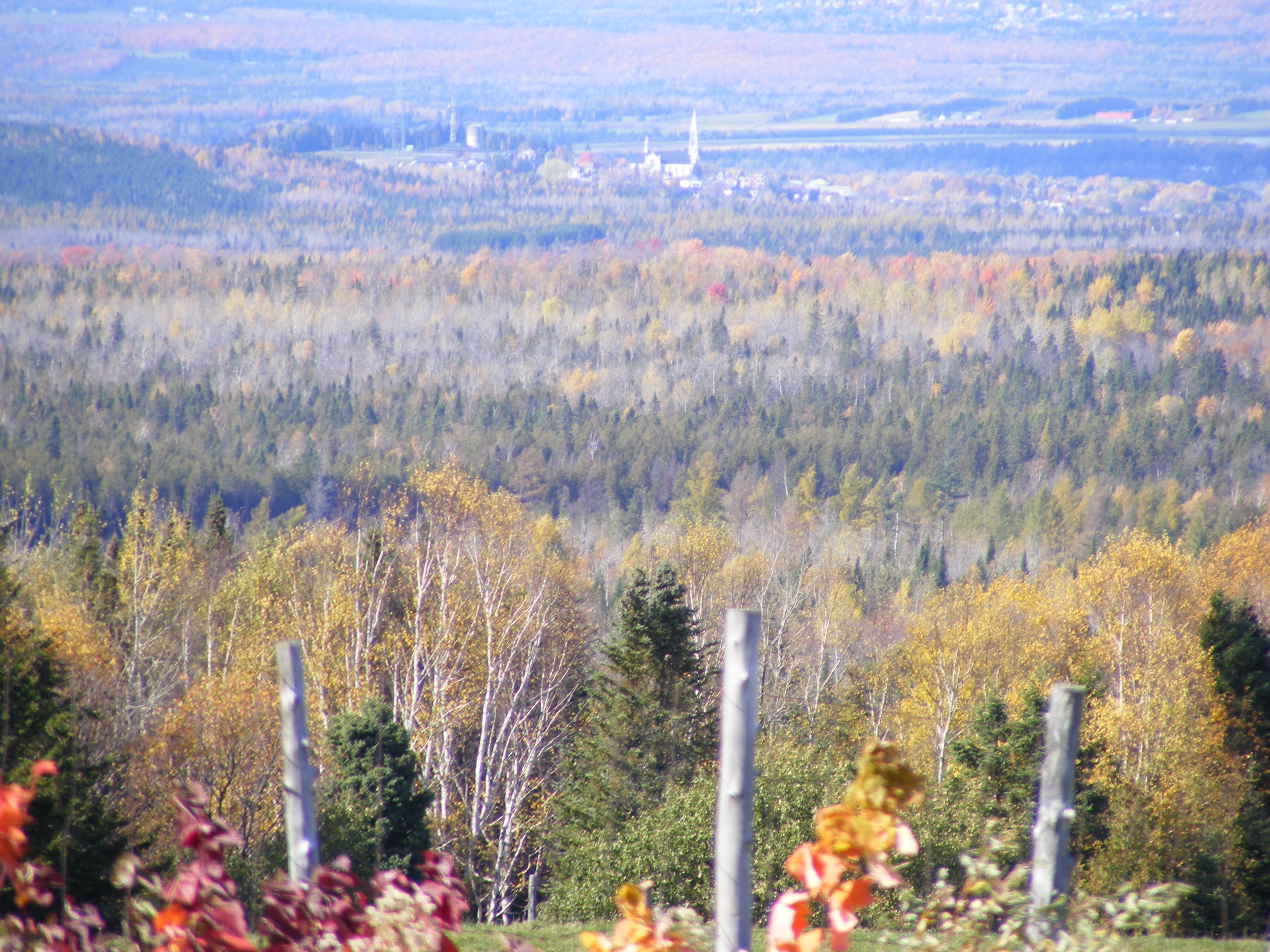 St-Prosper vue de route 275 