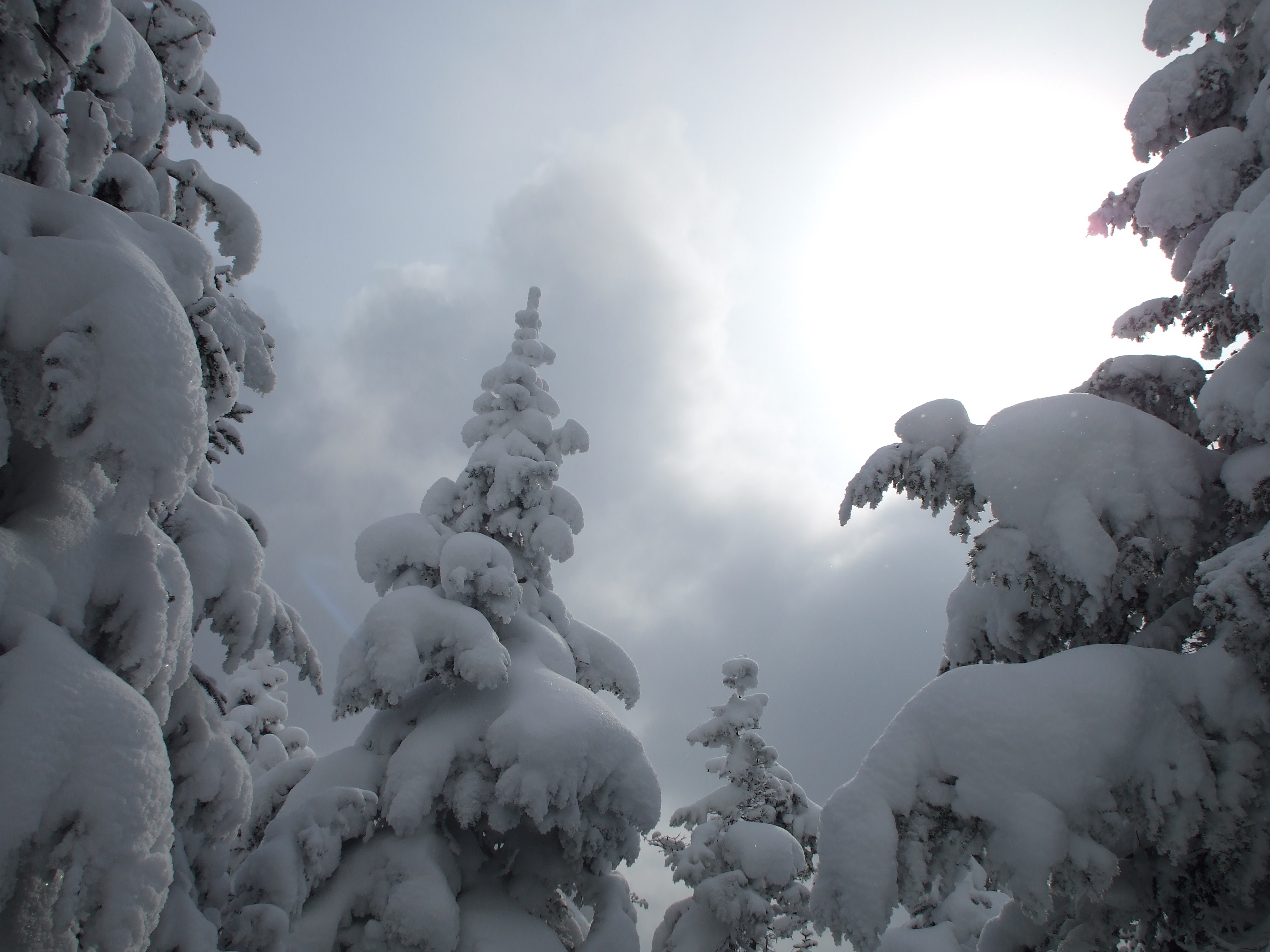 Un décor féérique