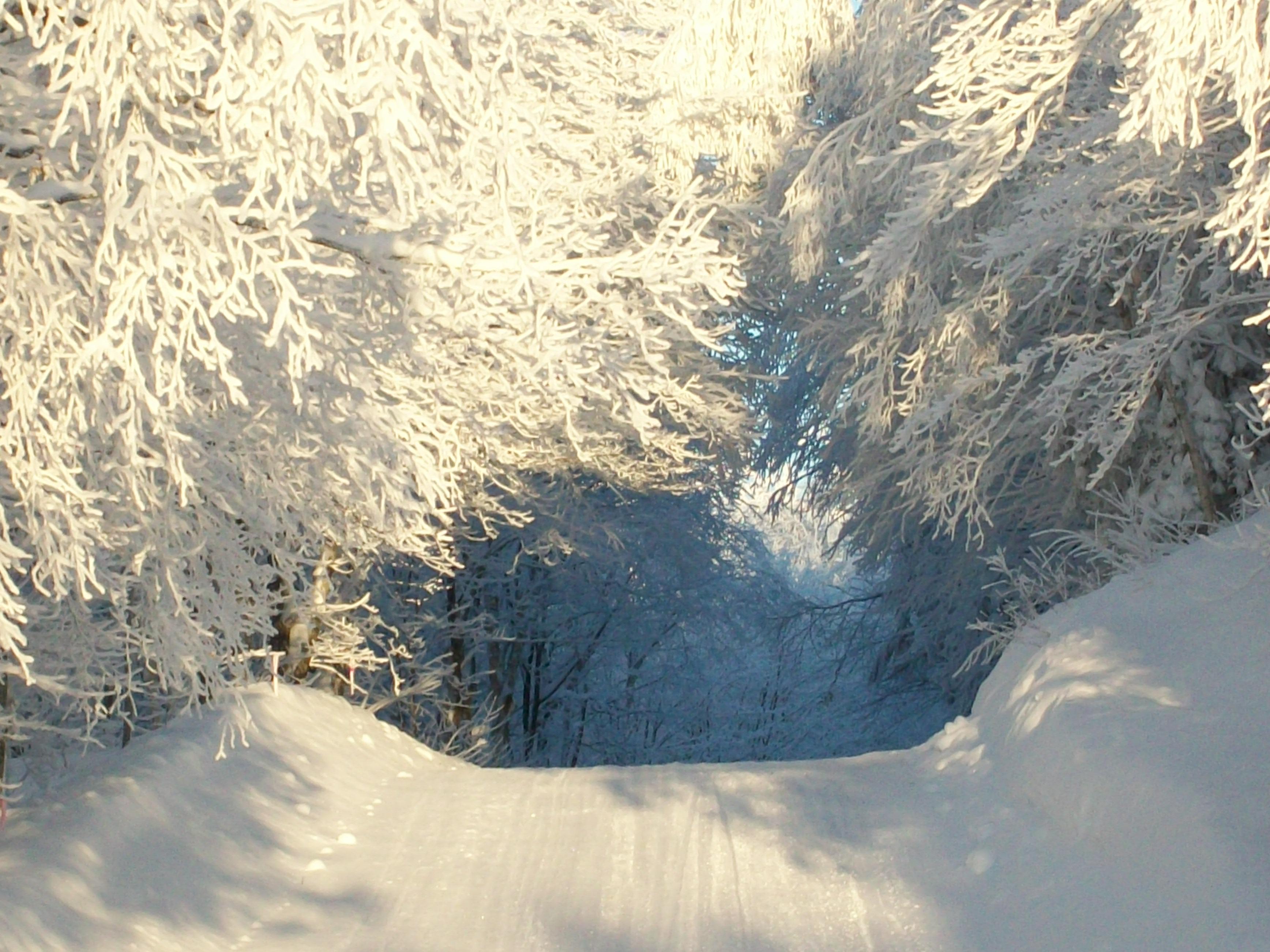 Les paysages compensent pour la longueur de l'hiver