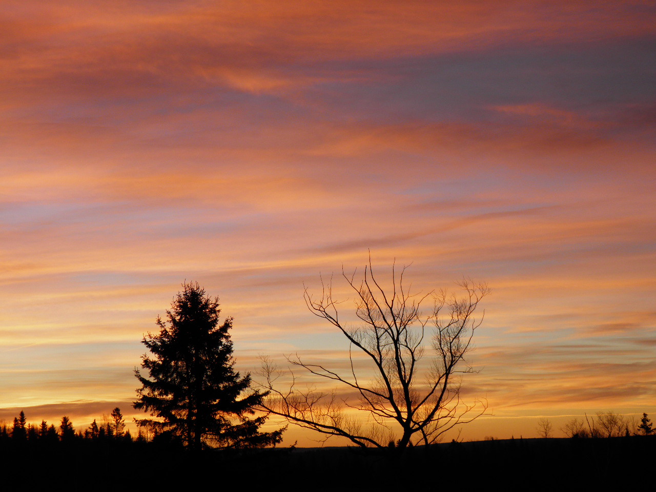 Paysage à Saint-Cyprien des etchemins