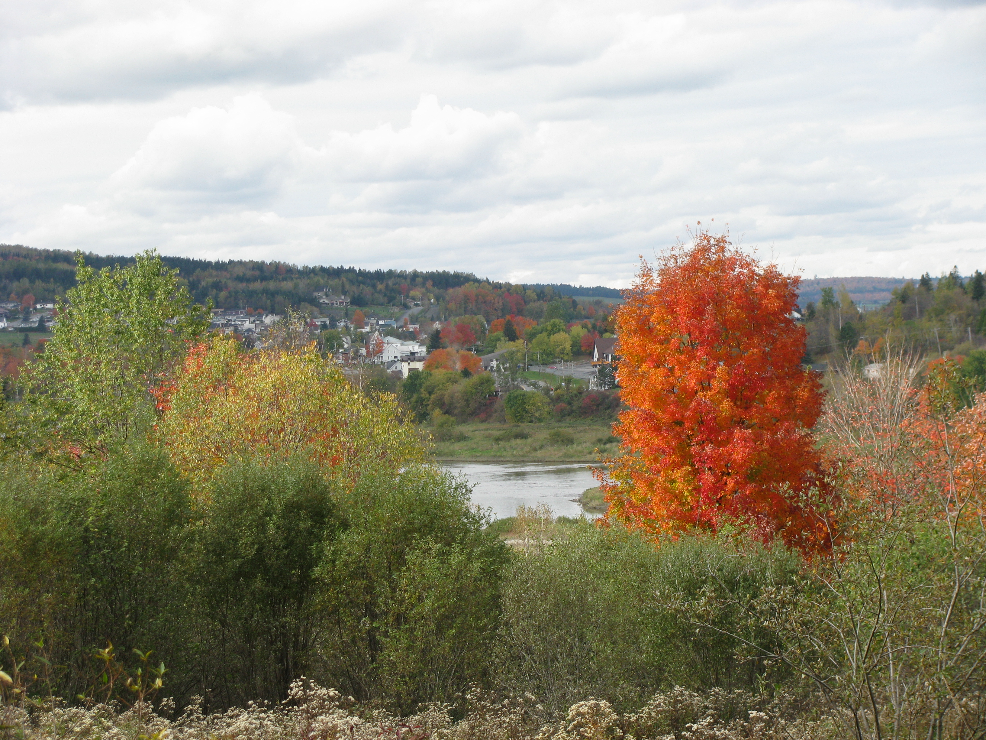 Vallée de la  rivière chaudière (BEAUCEVILLE)