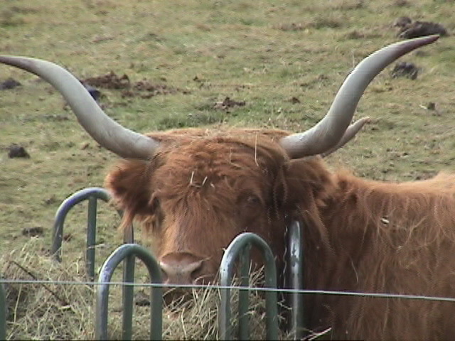 Qu'est-ce que j'ai de pas correct ???