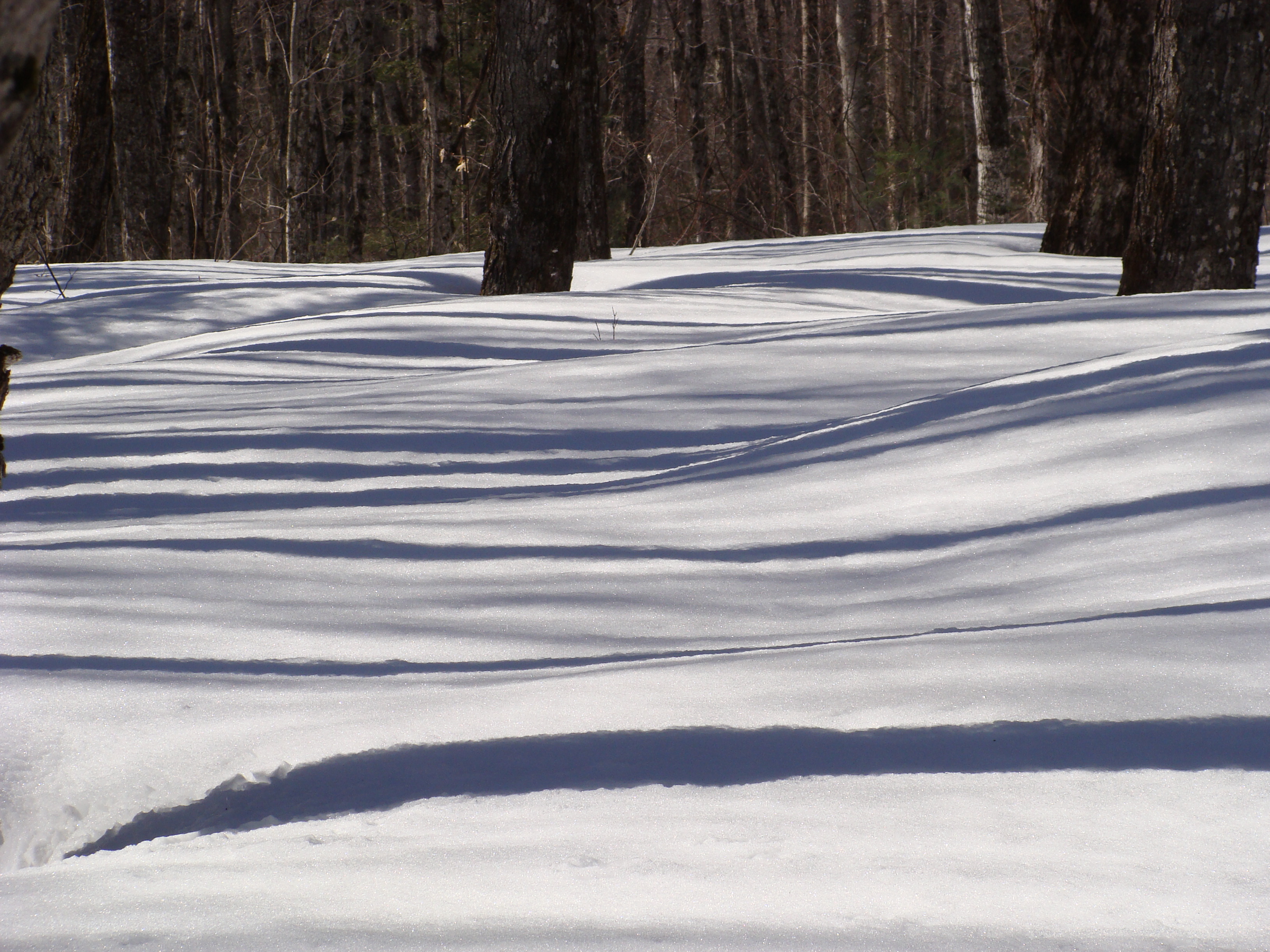 horizontalité à St-Zacharie