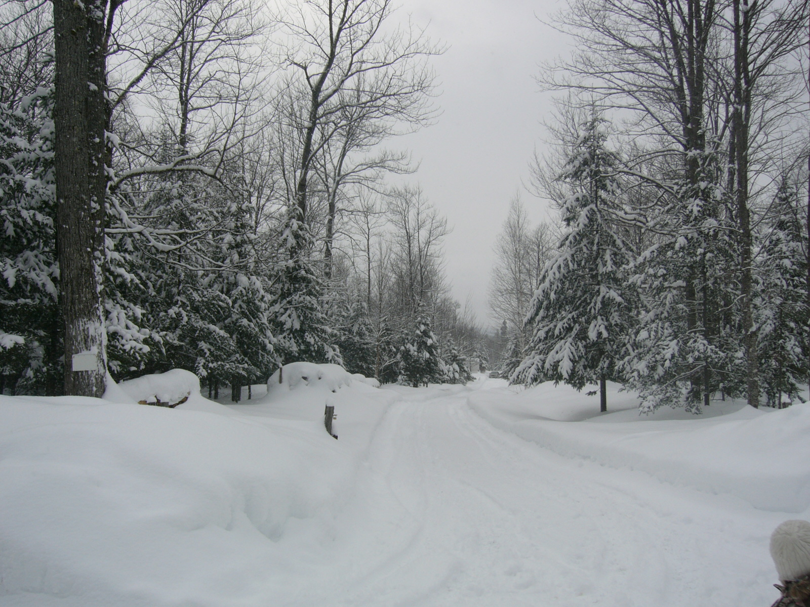 Paysage de St-Joseph