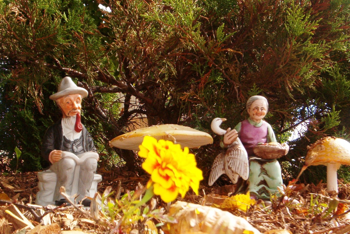 Décoration d'Halloween à Ste-Marie