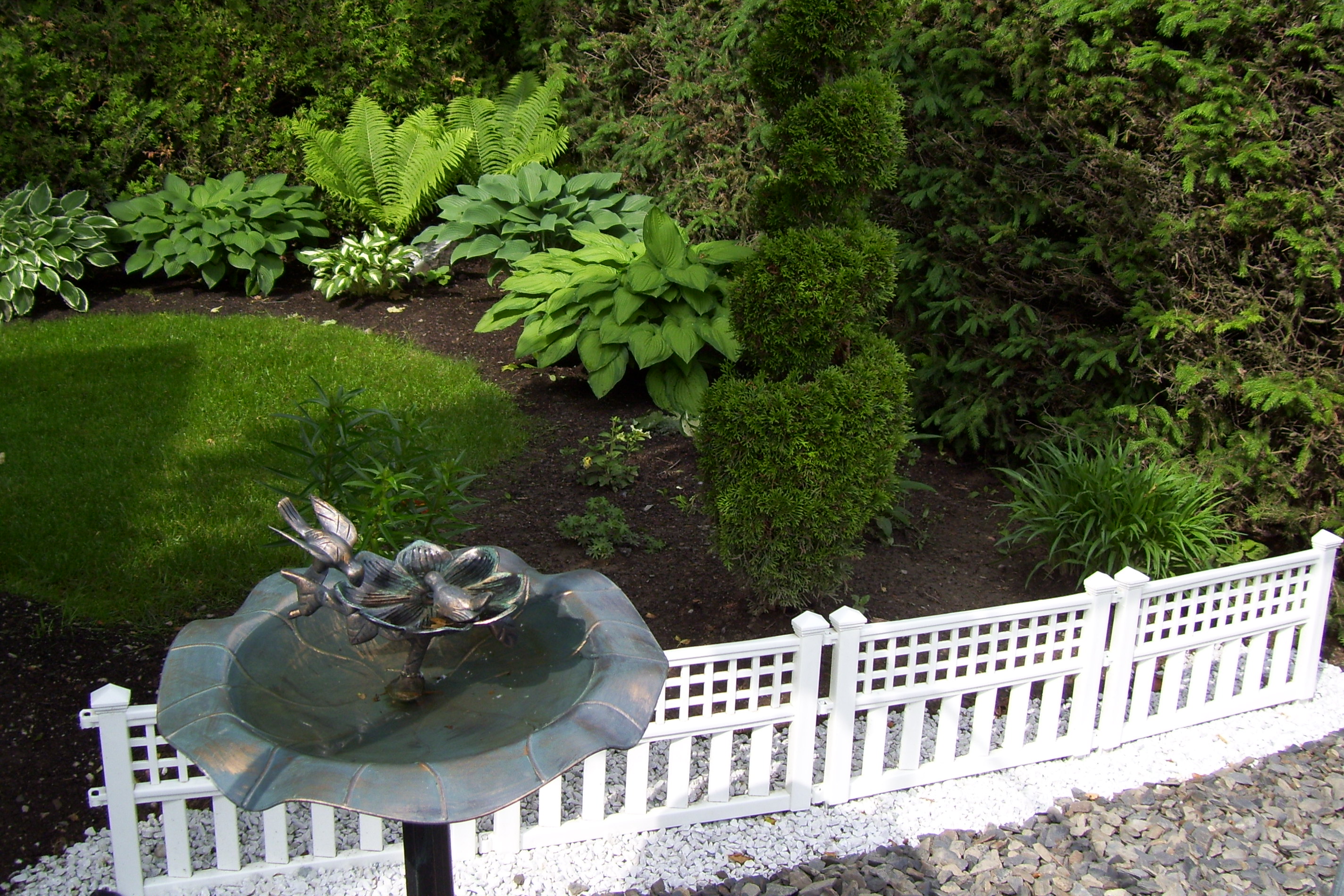 Un petit coin de mon jardin