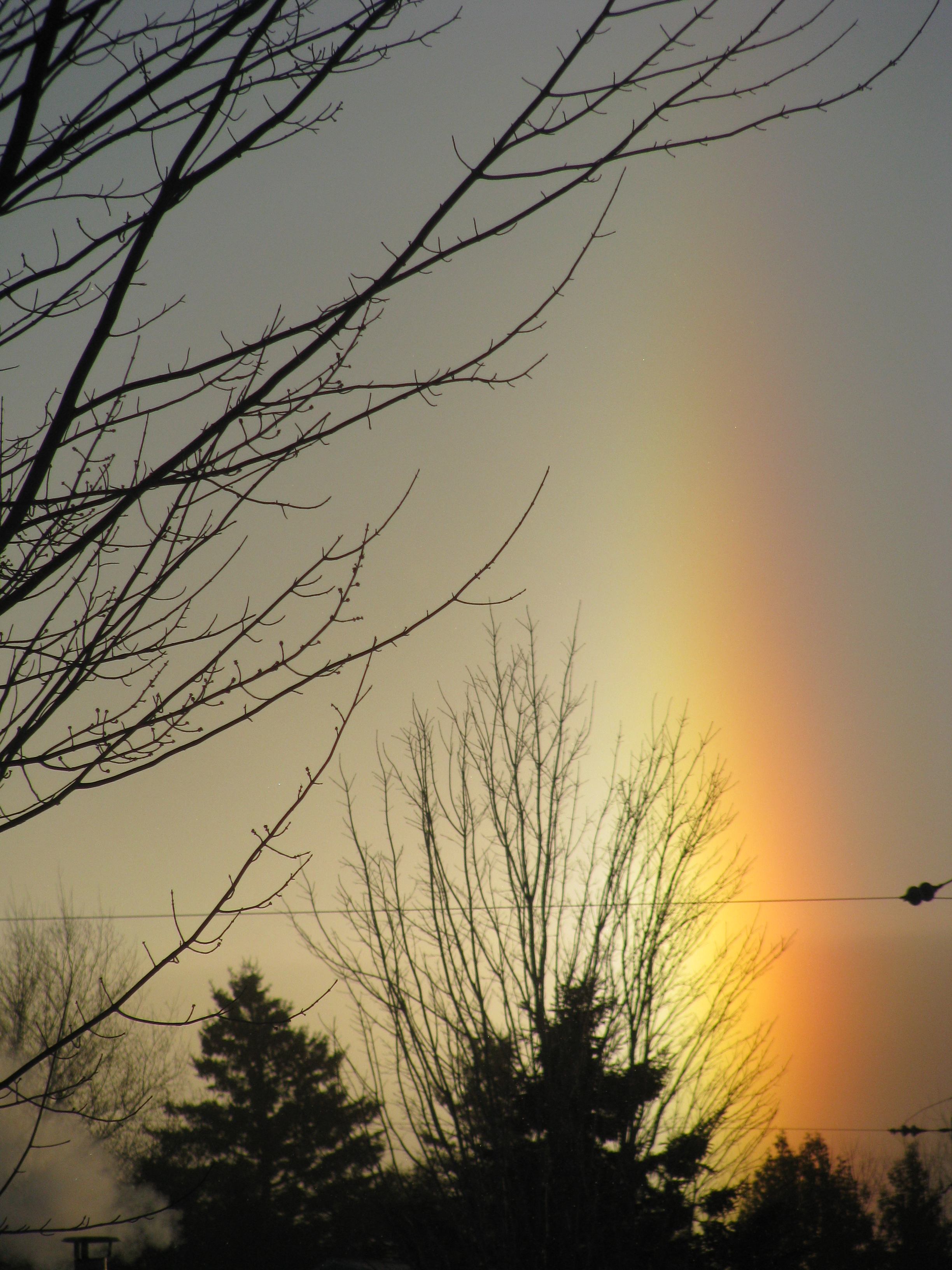 pandhélia a st-come liniere