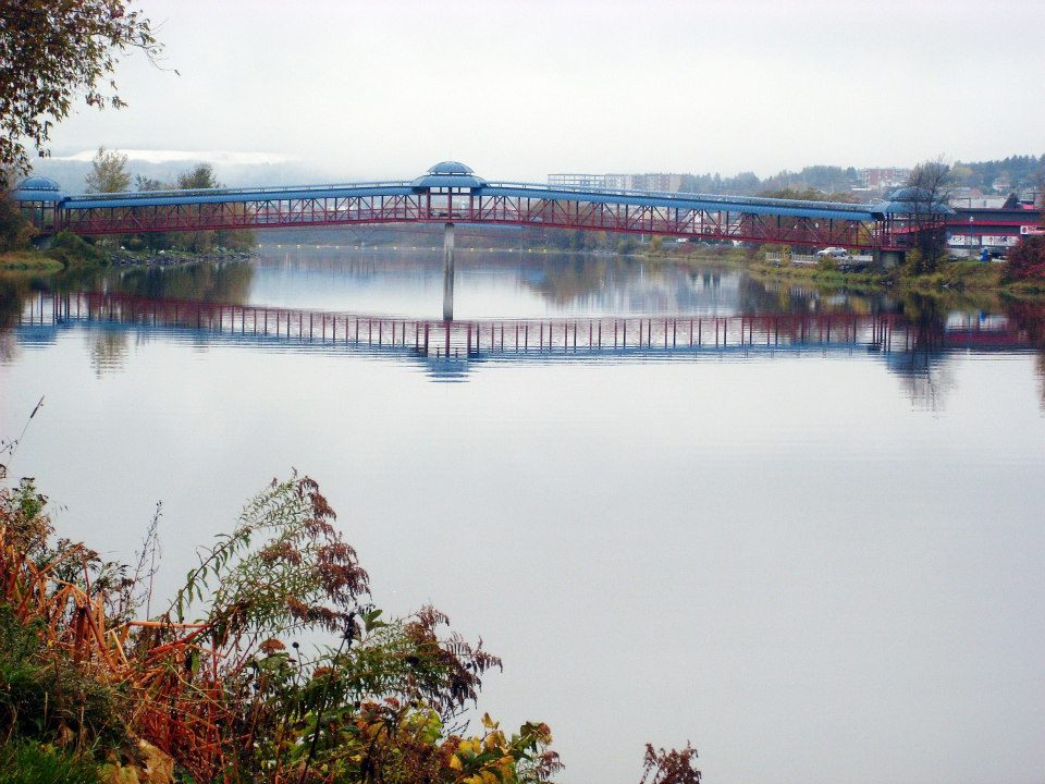Premiers flocons de neige