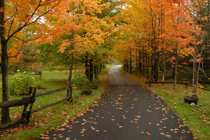 L'automne bien en place