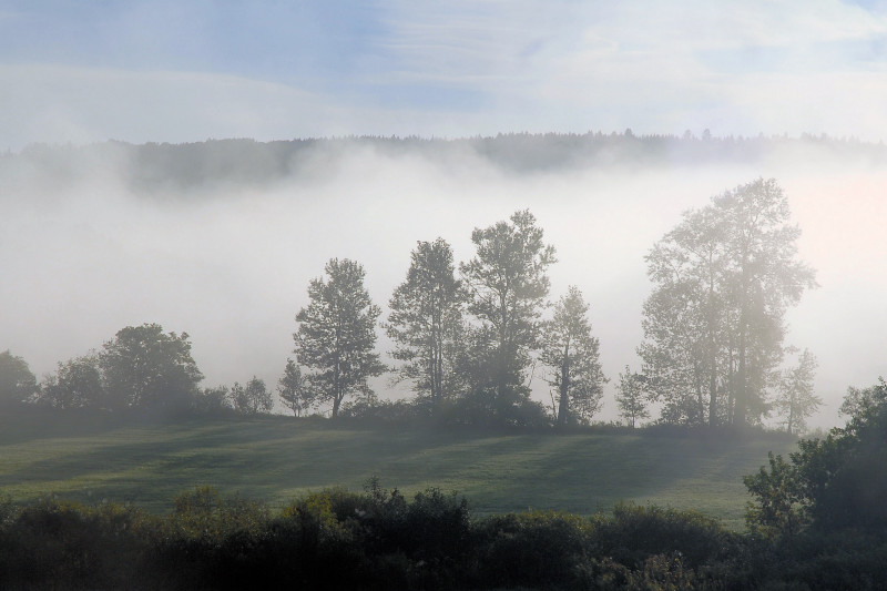 Dans la brume, tout près de Notre-Dame des Pins