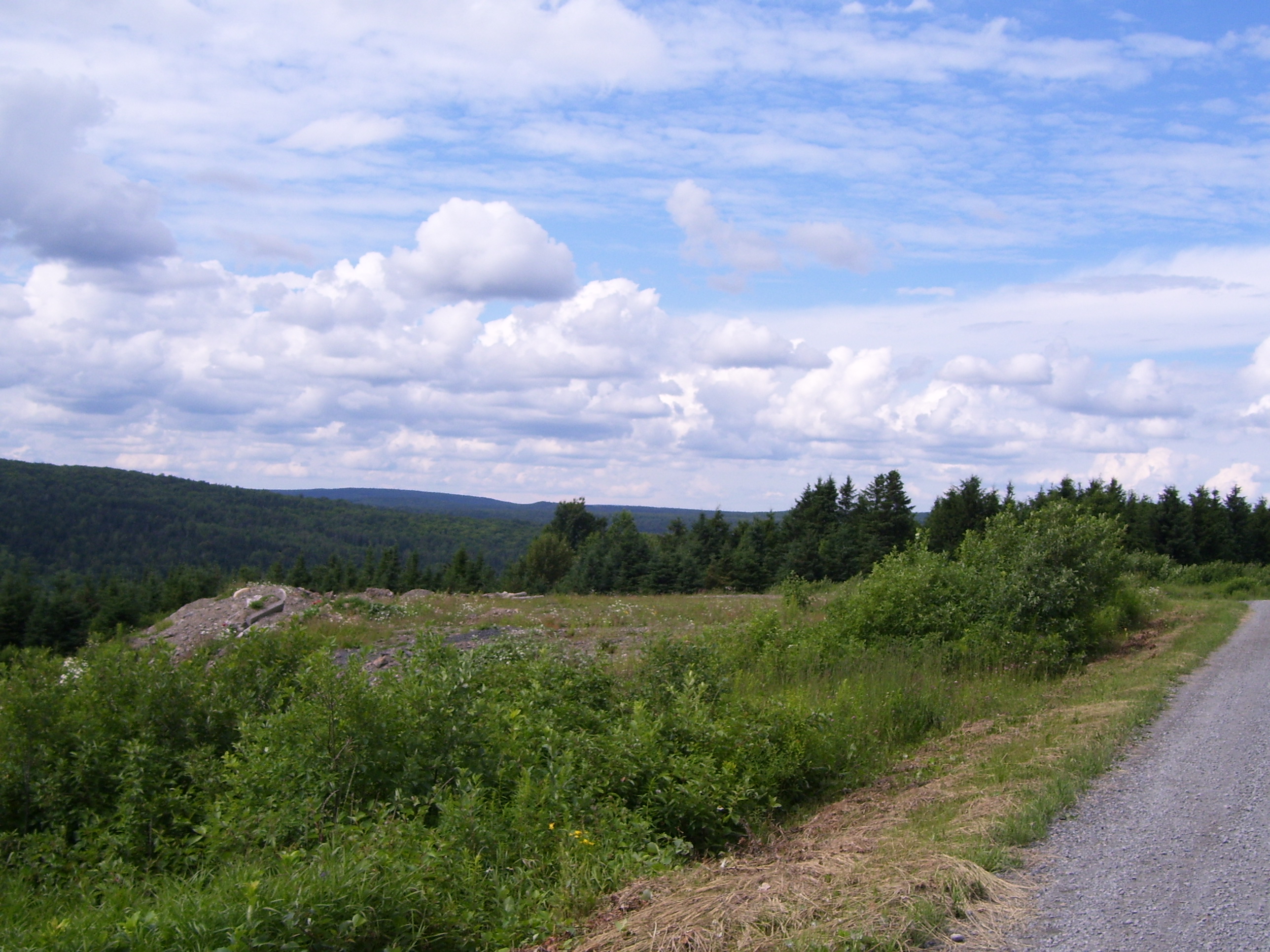 Pas bien loin de chez moi