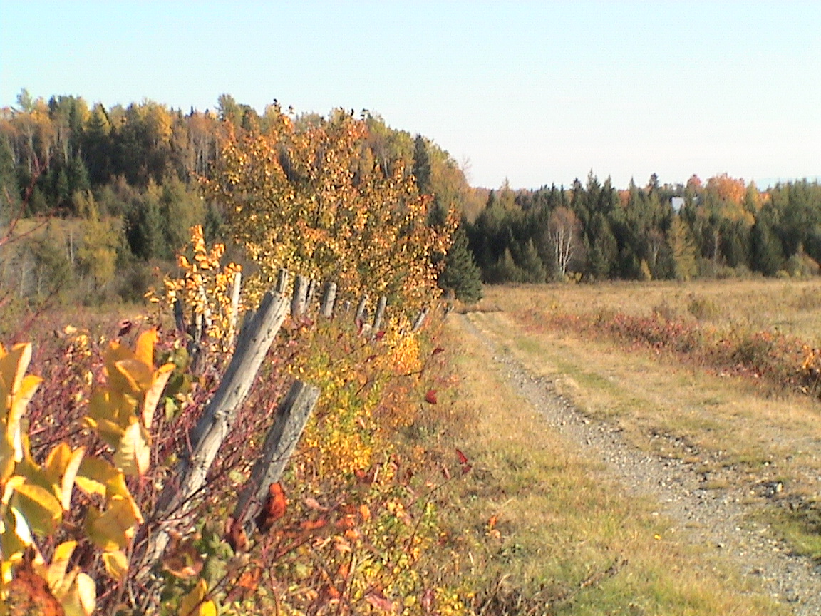 Le temps poursuit son chemin