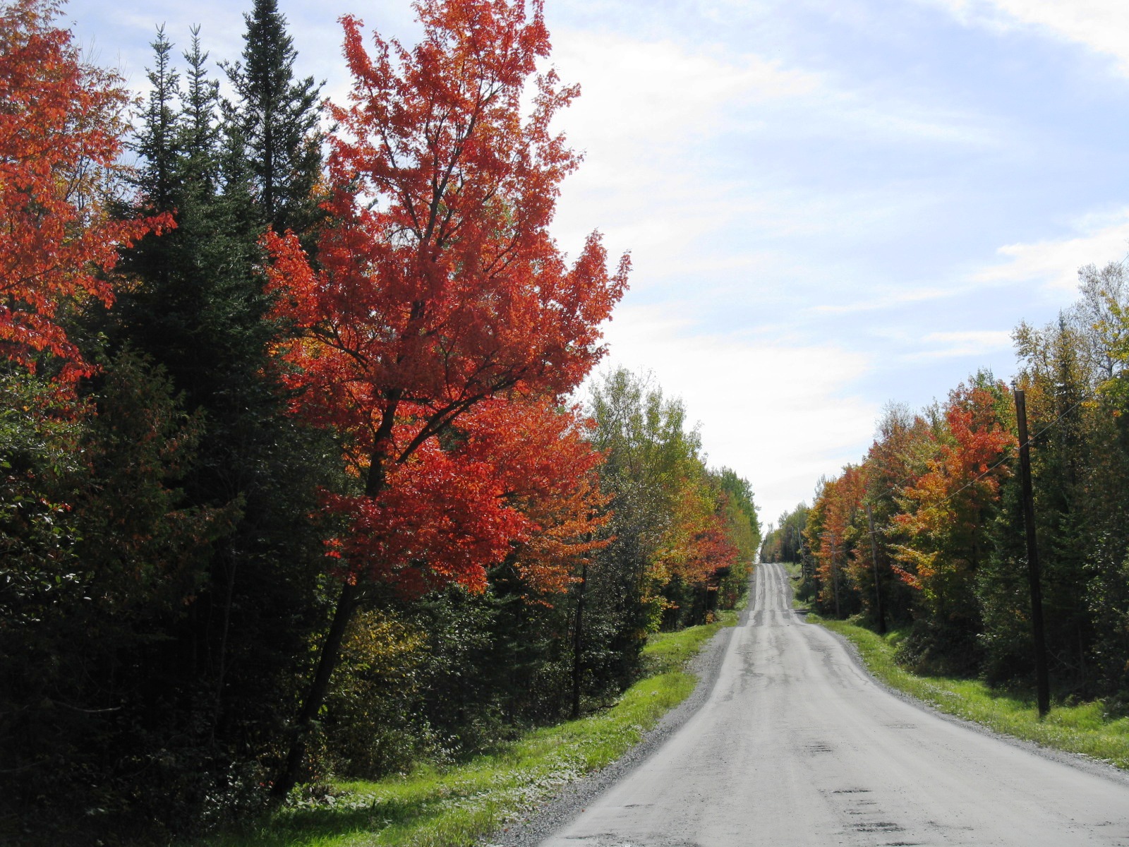 rang st-leon avec  plein de couleurs d'automne
