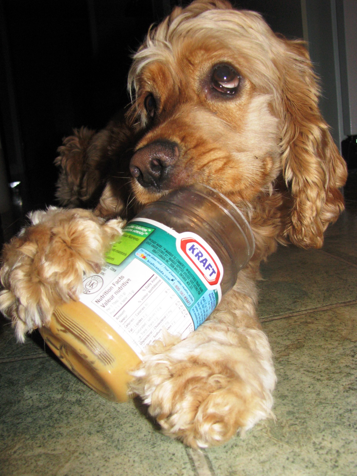 cacaouette,cacaouette