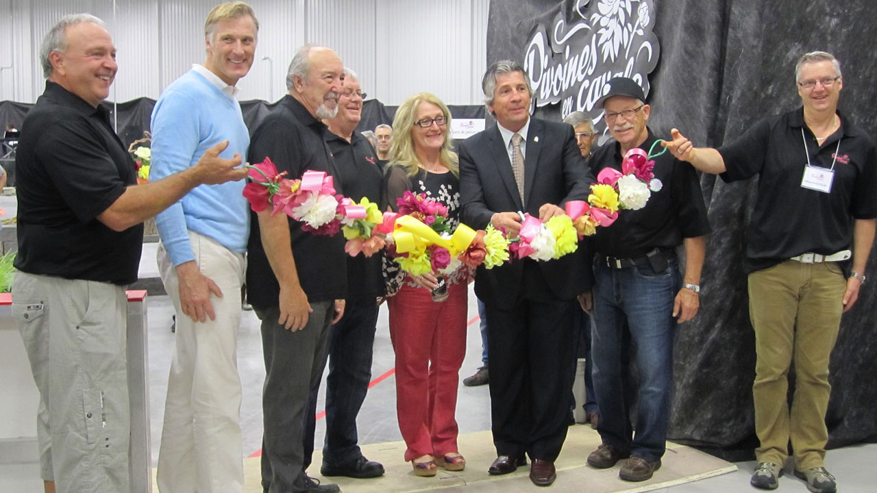 Les pivoines sont en cavale à Saint-Georges