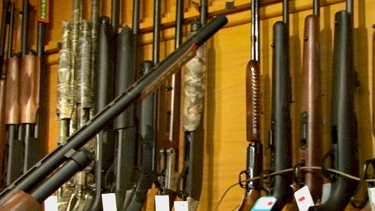 Le jugement de la Cour d'appel sur le registre des armes à feu donne raison au fédéral